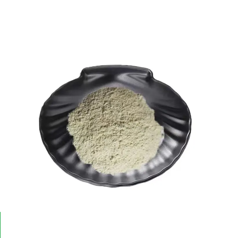 Garlic Extract Dehydrated Garlic Powder 25% Allicin in Bulk