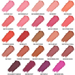 High Pigment Vegan Cheek Blusher Pressed Powder 24 Colors Makeup Waterproof Luxury <strong>Matte</strong> <strong>Blush</strong> Palette Private Label - Product Image 3