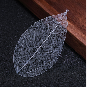 Đồ Trang Trí Chọn Cocktail Hoa Bất Tử Tự Làm Cây Lá Mộc Lan Hoa Khô Chọn Trang Trí Rượu - Product Image 6