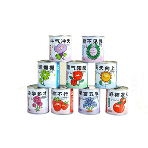 Kit de Cultivo de Semillas Extraíbles para Niños y Estudiantes, Semillas de Tomate, Fresa, Flores, Bonsái, Kit Educativo - Product Image 5