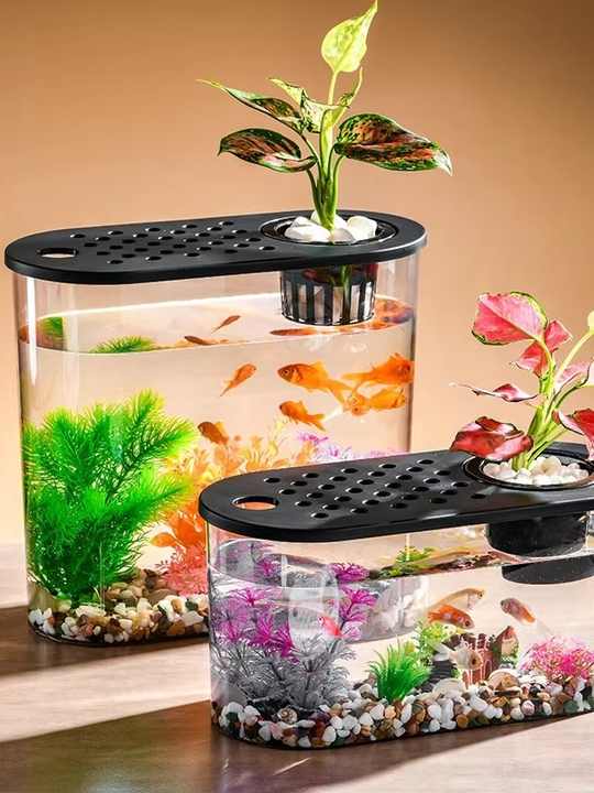 Mini Betta Fish Tank Stackable Sustainable Aquarium