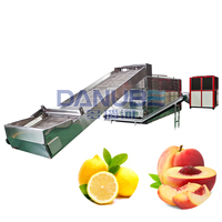 Energiebesparende productielijn voor het drogen en vermalen van fruit, zoals citroen, mango en wortel.