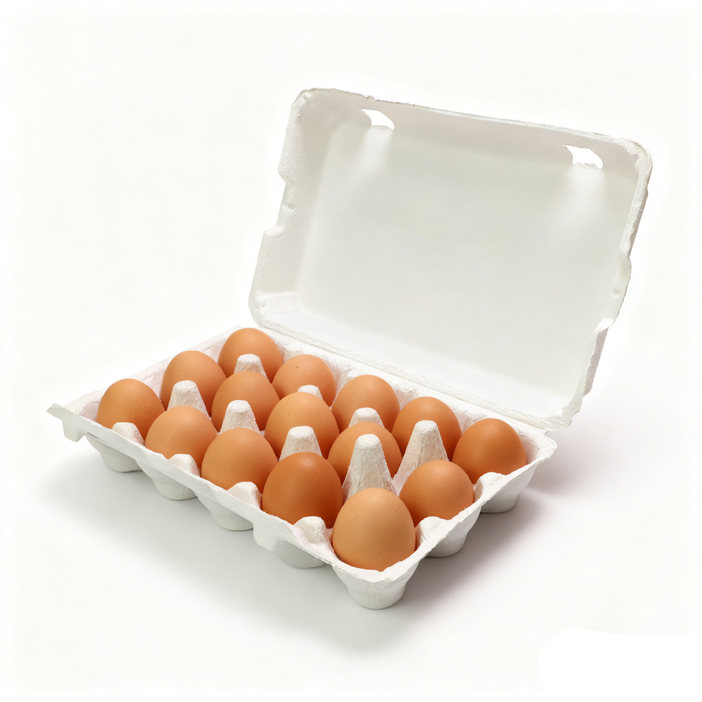Plastic Egg Cartons Clear Egg Cartons Bulk Clear Blank Egg Cartons Hold