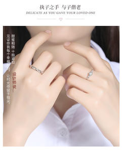 Anillos de Compromiso, Anillos de Promesa, Anillos de Boda Ajustables para Parejas, Precio de Fábrica, Anillos a Juego para Parejas - Product Image 5