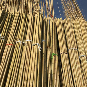 Yuzhu Carbonized Bamboo Poles White Insect Proof Anti Corrosion For Ceiling Outdoor Use - Product Image 2
