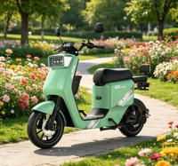 Nouveau Scooter Électrique 72V YT Streetbikes 2026 – Vente Flash, Direct Usine, Plusieurs Couleurs, Style Tendance, Grand Phare LED, E-Bike