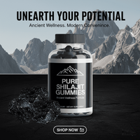 Gummies véganes de Shilajit en gros – Extrait de résine végétale naturelle – Produit gommeux à base de plantes – Approvisionnement en vrac
