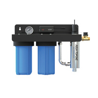 Maßgeschneidertes Ganzhaus-Trinkwasserfiltersystem 4,5*10''/ 4,5*20'' Big Blue UV-Wasserfilter Untertischmontage mit schwarzem Aufhängeboard