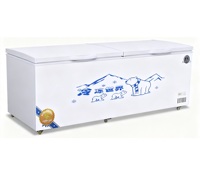 Congélateur horizontal commercial grande capacité à tubes de cuivre, OEM/Bonne réputation et longue durée de vie, pour la congélation de crèmes glacées