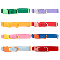 Collier et laisse en PVC imperméables et anti-odeur, harnais réglable en caoutchouc et silicone pour chien, vente en gros du fabricant