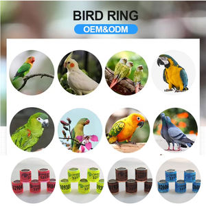 Duivenring Coat <span class=keywords><strong>Bands</strong></span> Andere Huisdierproducten Vogels <span class=keywords><strong>Racing</strong></span> Ring Voor <span class=keywords><strong>Belgium</strong></span> Groothandel Duivenvogel Ring India - Product Image 6
