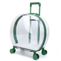 Sac pour chat de compagnie Trolley Case Transparent Cat Bag Go Out Portable Cat Portable Transparent Air Box