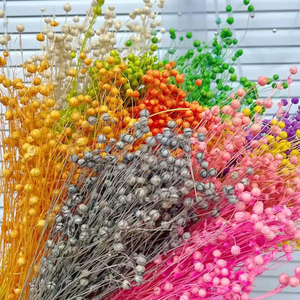 Fournitures de <span class=keywords><strong>fleuriste</strong></span> de haute qualité, fleurs séchées naturelles, fraîches et éternelles, haricots de jequirity, perles en désordre, pour la décoration de la maison - Product Image 1