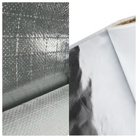 Barrière anti-vapeur en feuille d'aluminium pour la gestion thermique des assemblages de toiture