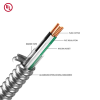 Câble d'éclairage multicœur à gaine métallique MC 14/3 12/3 Câble BX pour 1569 600V Cuivre pur IP20 Chauffage