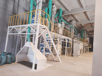 3t 5t 10t 15t Machines de traitement de grains de café Machine de nettoyage et de séchage Machine à décortiquer les grains de café secs polisseuse niveleuse