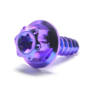 TITST Gr5 boulons en titane filtre à air <span class=keywords><strong>carrosserie</strong></span> vis autotaraudeuse tête <span class=keywords><strong>de</strong></span> bride vis hexagonale boulons pour moto voiture vélo - Product Image 1