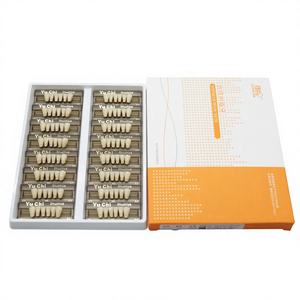 Résine acrylique <span class=keywords><strong>composite</strong></span> dentaire d'usine, dents antérieures inférieures, 6*1/16, résine polymère synthétique pour prothèses amovibles - Product Image 6