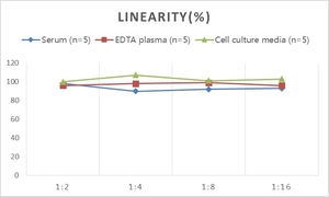 Kit <span class=keywords><strong>ELISA</strong></span> Rat SOD1 (superossido dismutasi 1 solubile) - Product Image 3