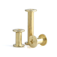 Vis Chicago à tête plate en acier inoxydable de 30 mm de longueur, finition unie, M5 métrique, pour ceintures et sacs à main