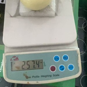 Billes de billard américain 68 mm en résine, lot de 16 pièces pour usage amateur - Product Image 3