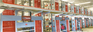 Nuevo Gallinero de 4 Niveles y 4 Puertas para 128 Aves, Acero Galvanizado en Frío Tipo A Yinanchun, Hebei, Garantía de 8 Años, Larga Vida Útil - Product Image 5