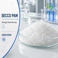 Polyacrylamide Anionique PAM Floculant pour le Traitement des Eaux Usées à Base d'Argile Kaolin, Purification et Coulissement Rapide, CAS 9003-05-8, 25kg