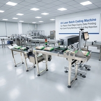 Machine de marquage laser UV à grande vitesse pour sacs d'emballage alimentaire en plastique, codage de la date de péremption et de la loterie avec double rejet de sacs