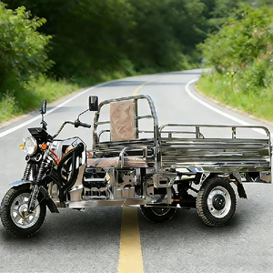 Triciclo de Acero Inoxidable para Transporte de Mercancías, Uso Agrícola y Pesquero, Scooter de Carga Doméstico - Product Image 2