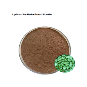 Hot-Selling Lysimachiae Herba Extract Poeder Hoge Kwaliteit Chinese Jin Qian Cao - Product Image 3