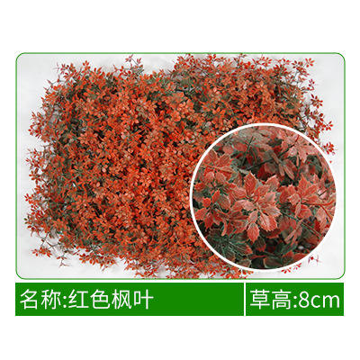 Feuille d'érable rouge