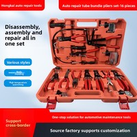 Ensemble de 16 pinces à collier pour tuyaux professionnelles, kit d'outils complet pour mécanicien automobile avec pinces flexibles pour fils et conduites de carburant