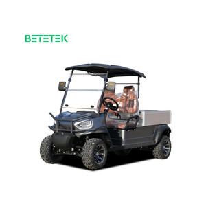 Carro de Carga para Camioneta, Buggy, Vehículo Utilitario Eléctrico, Carro de Transporte, Vehículo de Patrulla, Certificado por DOT y CE para Carreteras No Públicas - Product Image 1
