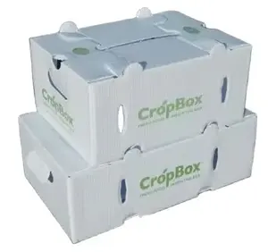 PP oluklu plastik kutu için sebze ve meyve coragriculture correx mısır brokoli kutusu tarım ambalaj kutusu için