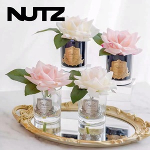 Cote Noire <b>Reed</b> <b>Diffuser</b> Glass Aromatherapy Floral Fragrance All Season Use - Product Image 4