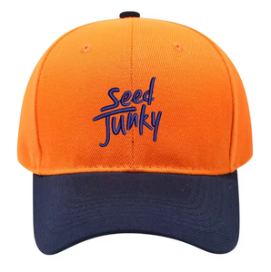 หมวกเบสบอลปักโลโก้ตามสั่ง คุณภาพสูง 6 แผง ผ้าฝ้าย สำหรับผู้ชาย ผู้หญิง และทุกเพศ - Product Image 4