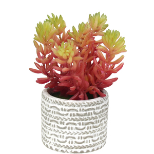 Succulenta Artificiale in Plastica Multicolore a Punte, Finta Sedum per Mini Vasi, Terrari e Decorazioni da Tavolo per Interni - Product Image 3