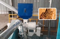 Petite machine à éplucher le maïs Fraiseuse à rouleaux en fer Machine à polir le riz