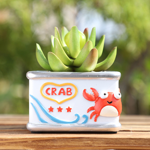 Maceta Cuadrada de Resina con Diseño de Animal Marino Adorable de ROOGO, Mini Maceta de Estilo Retro con Orificio de Drenaje, Decoración Costera para el <span class=keywords><strong>Hogar</strong></span> - Product Image 3