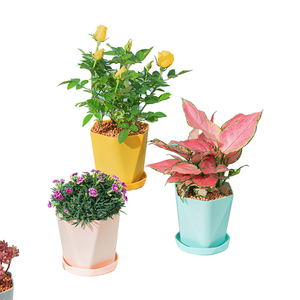 Pot Bunga Plastik Ruipu <span class=keywords><strong>Promo</strong></span> Grosir Dekorasi Rumah Kecantikan Taman untuk Penggunaan di Rumah - Product Image 1