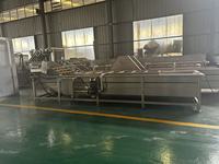 Industriële voedselbelreinigingsmachine Automatische wasapparatuur voor fruit en groenten