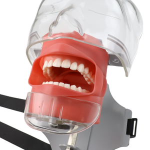 Simulador Dental de Alta Calidad, Cabeza de Maniquí, Equipo para Enseñanza y Entrenamiento de Odontólogos - Product Image 4