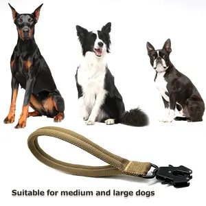 Heavy Duty oem Personalizado Etiqueta Nylon Webbing Não Choke Dog Coleiras Martingale coleira de cão tático e trela