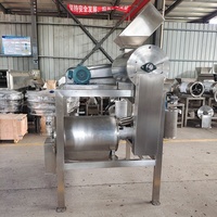 Mangopulper En Finisher Met Roestvrijstalen Constructie Hoge Productiviteit Motor Voor Fruitverwerkende Fabriek 220V/380V