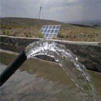 Pompe à eau solaire DIFFUL de 1,75 CV, grande capacité, pompe à eau solaire à pression pour l'irrigation en Ouganda