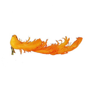 Handcrafted Realistic Bird Decoration With Feathers Orange Color Animal Shape Home Decor Easter Decoration YMFZ003 - Product Image 1