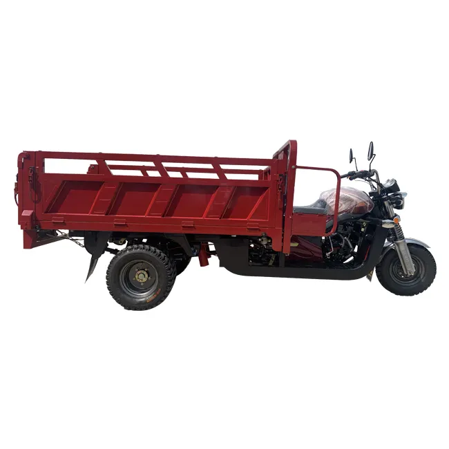 Nouvelle vente directe d'usine Discount nouvelle charge lourde essence moto Cargo 3 roues camion alimentaire tricycle Chine