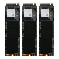 SSD M.2 2280 pour Mini PC et Ordinateur Portable, Disque Dur SSD 256 Go 512 Go 1 To, M.2 2280 PCIe 3.0, Prise en Charge PCIe pour Ordinateur