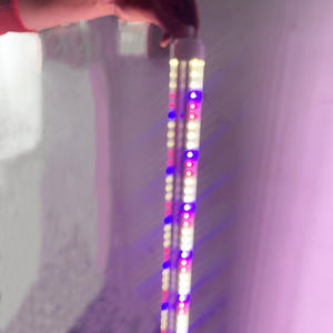 Tubo de cultivo Led de 360 grados, iluminación de crecimiento de microalgas, algas para Spirulina Raceway, estanque, cultivo de plantas - Product Image 6