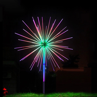 Lumières de modélisation dynamiques, Transformation de l'éclairage de paysage de jardin décoratif, feux d'artifice de contrôle de Point 3D